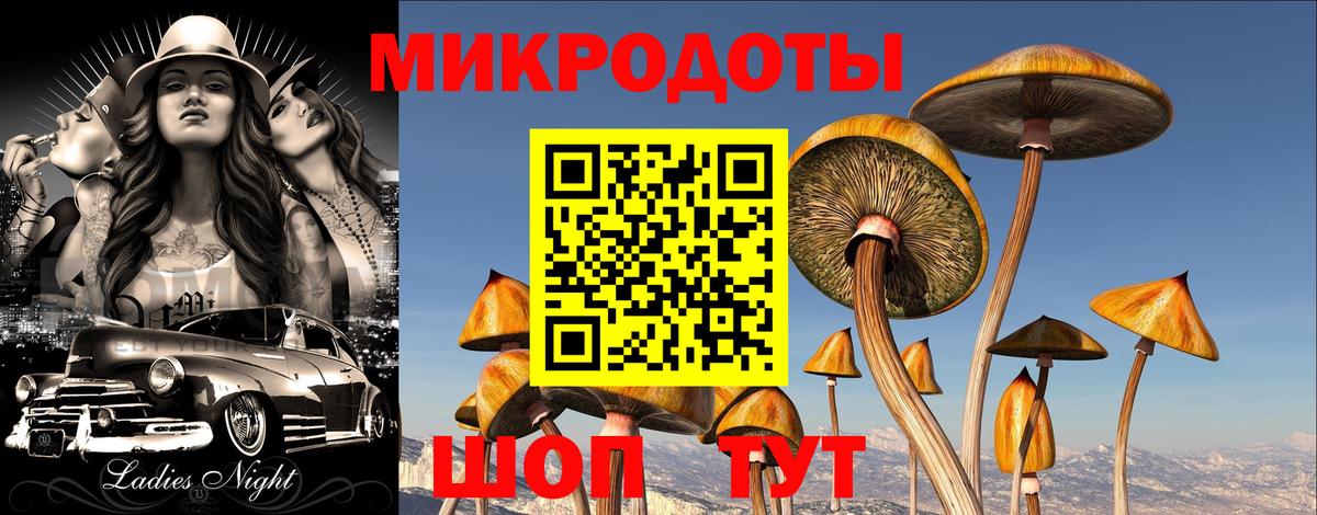 Псилоцибиновые грибы MAGIC MUSHROOMS  Галлюциногенные грибы Magic Shrooms  Вход с VPN  Обнинск 